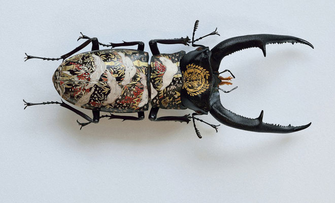 Akihiro Higuchi Finds A Unique Canvas: Oil On A Beetle