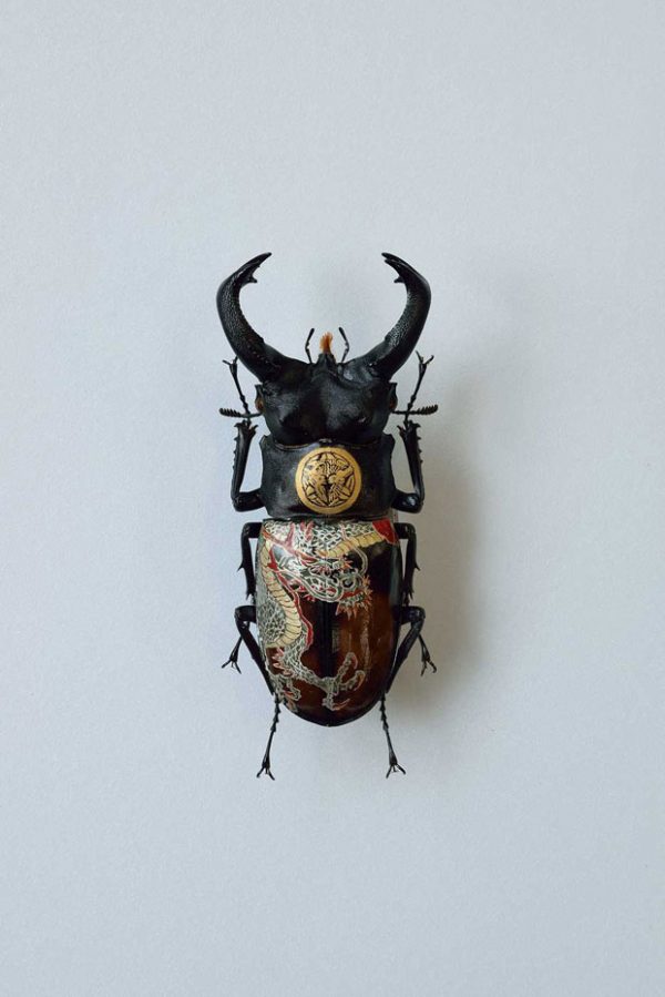 Akihiro Higuchi Finds a Unique Canvas: Oil On A Beetle