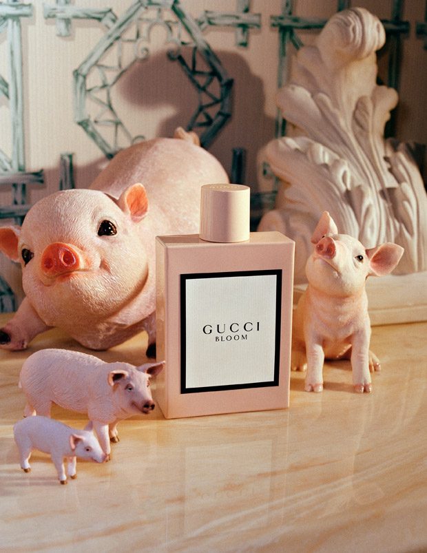 Gucci Releases Year of the Pig Collection, Lookbook
