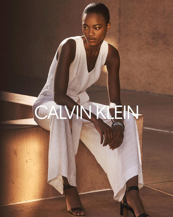 Calvin Klein – Fashion Elite