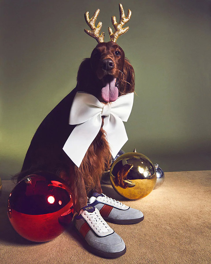 Louis Vuitton, Tod's, Balenciaga, And More: Fashion Houses Create The  Paw-fect Holiday Campaign With Dogs