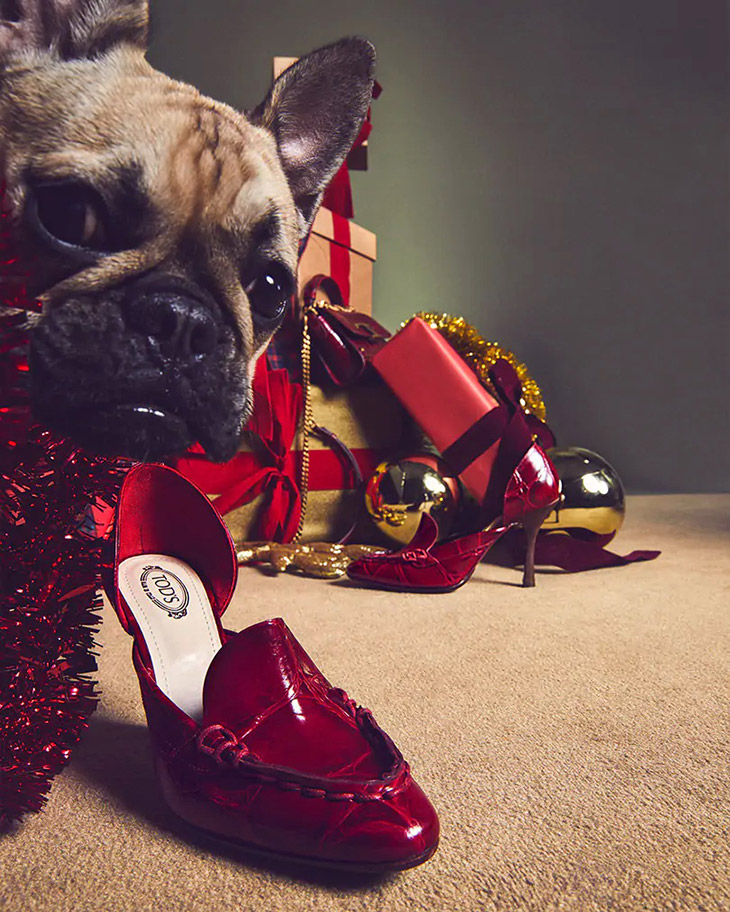Louis Vuitton, Tod's, Balenciaga, And More: Fashion Houses Create The  Paw-fect Holiday Campaign With Dogs