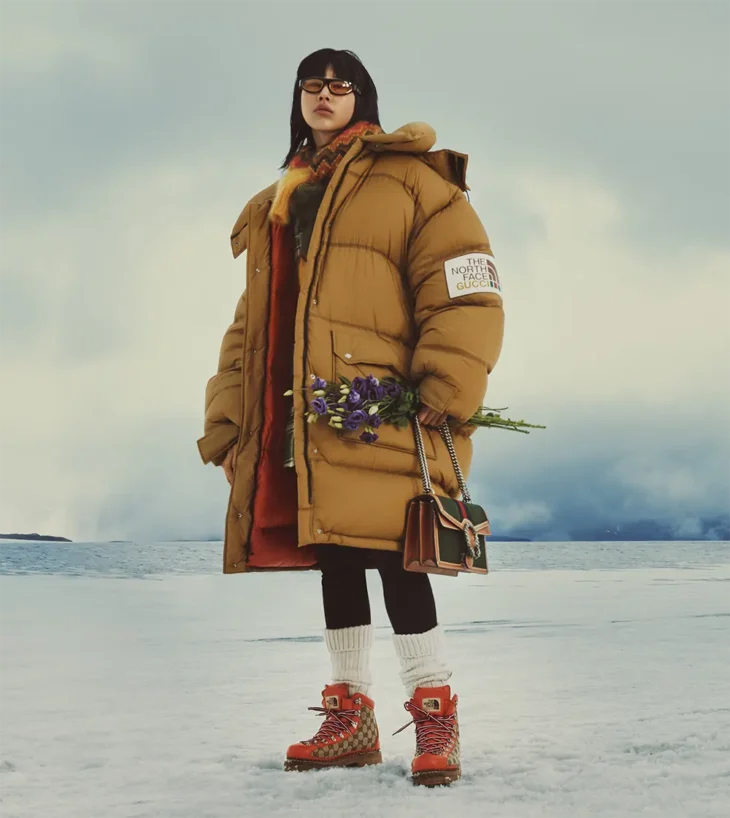 Avatar items from The North Face x Gucci Collection are coming to