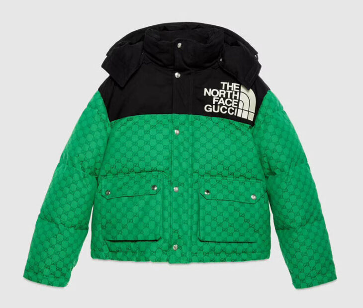 HypeNeverDies on Instagram: “Closer Look At The Gucci x The North Face  Puffer Jacket 👀”
