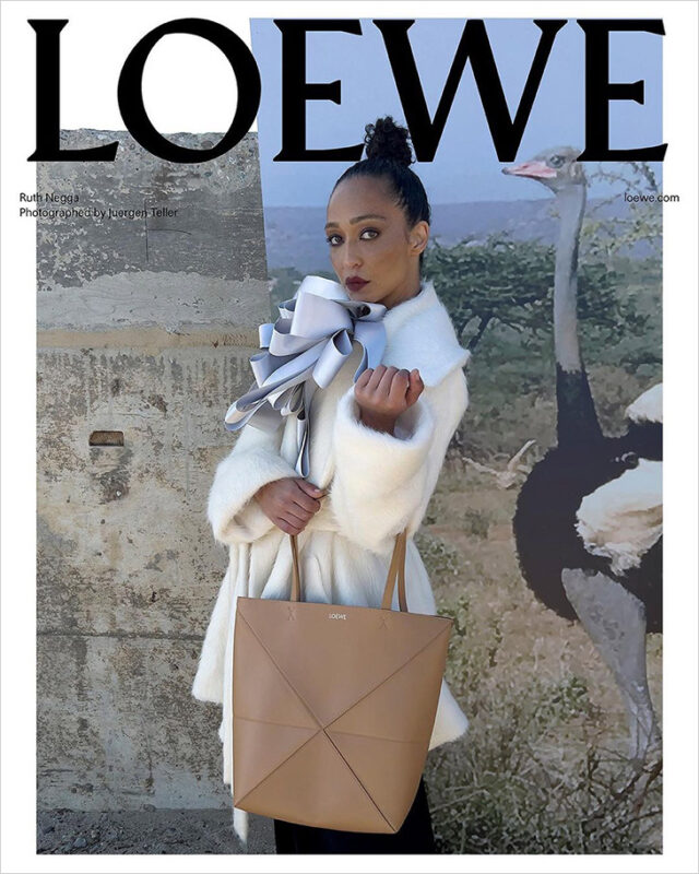 Discover LOEWE PreFall 2023 Collection